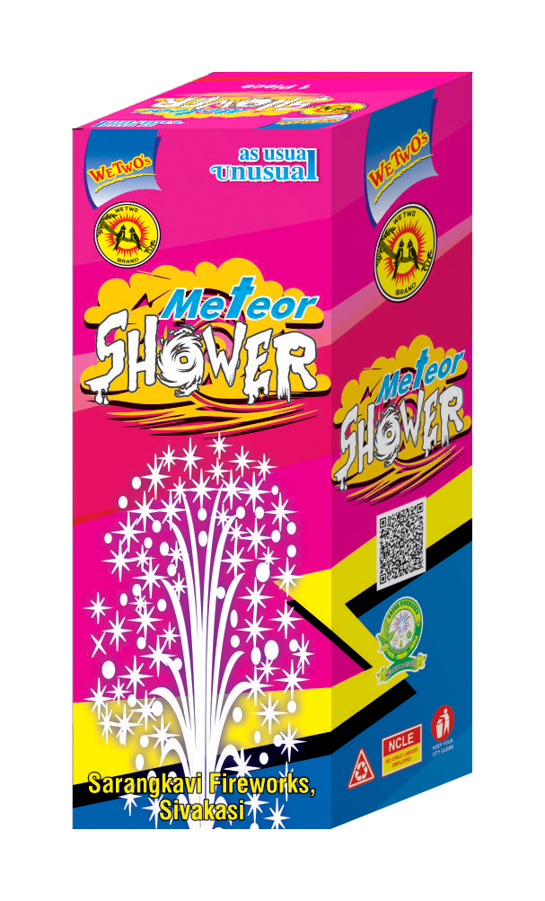 METEOR SHOWER